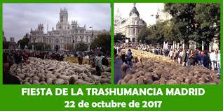 Fiesta de la Transhumancia Madrid, 2017